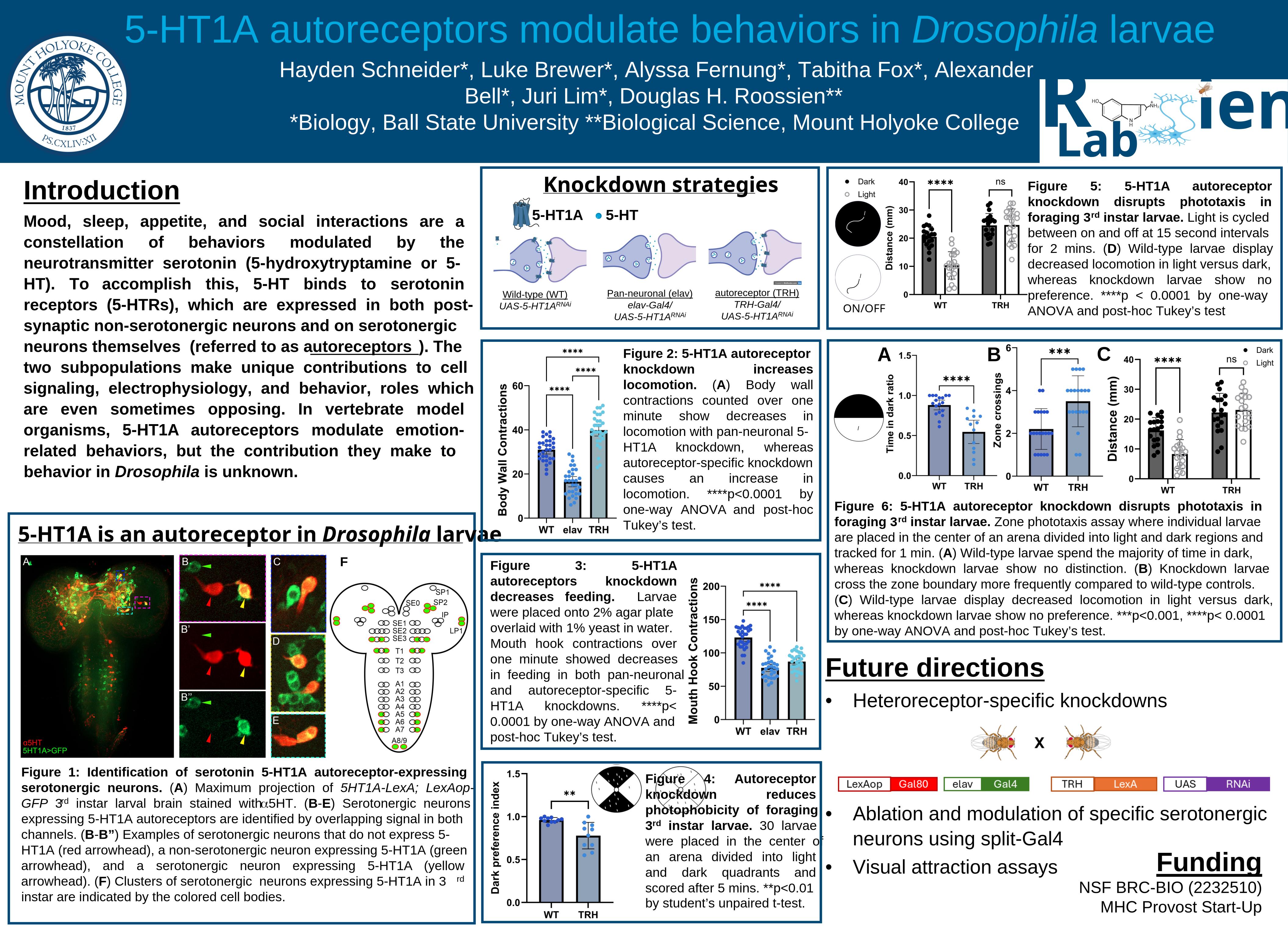 CSHL 2025 Neurobiology of Drosophila Conference